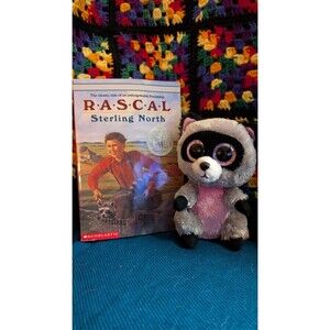 Ty Beanie Boo Rocco Raccoon Plush 2014 & Rascal Sterling North Vintage 1991 Book